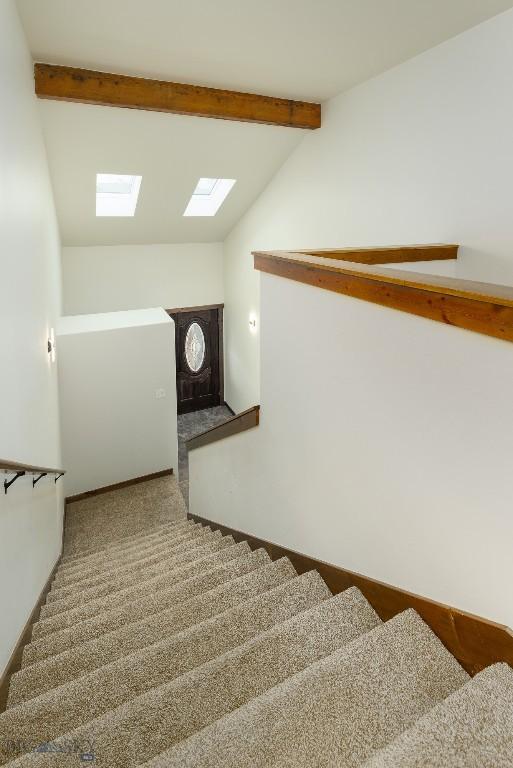 20 Prairie Grass B, Bozeman, MT 59718 - stairs with a skylight and carpet
