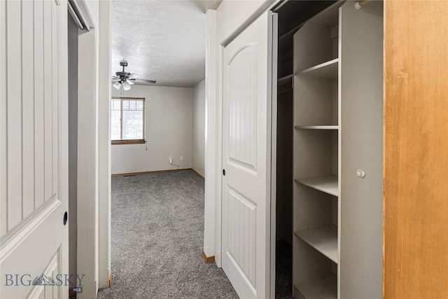 3135 Mantle, Butte, MT 59701 - view of closet