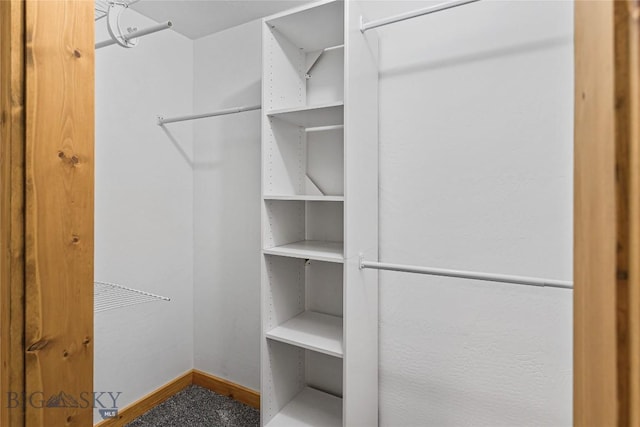 3135 Mantle, Butte, MT 59701 - view of walk in closet