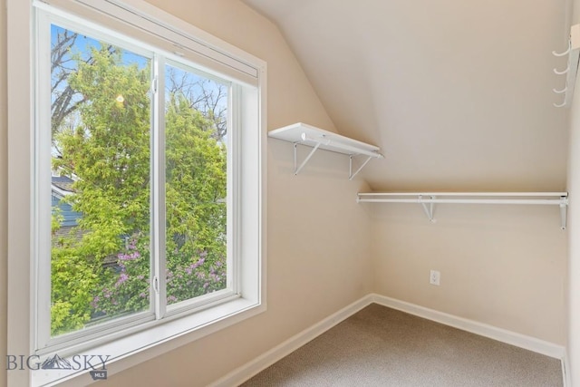 209 N 3rd, Bozeman, MT 59715 - spacious closet with carpet flooring and vaulted ceiling