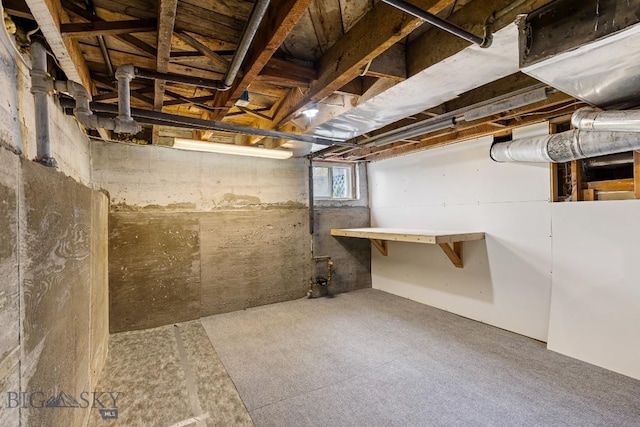 209 N 3rd, Bozeman, MT 59715 - view of basement
