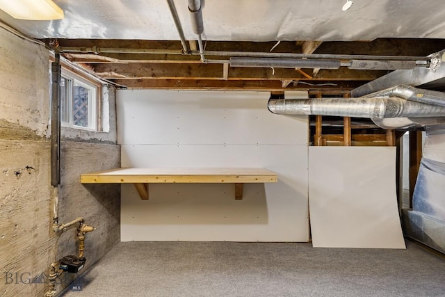 209 N 3rd, Bozeman, MT 59715 - below grade area featuring carpet flooring