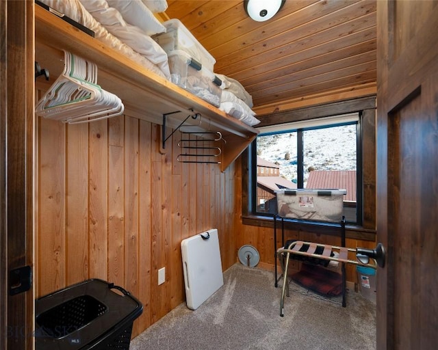 198 E River Rd, Emigrant, MT 59027 - walk in closet with carpet flooring