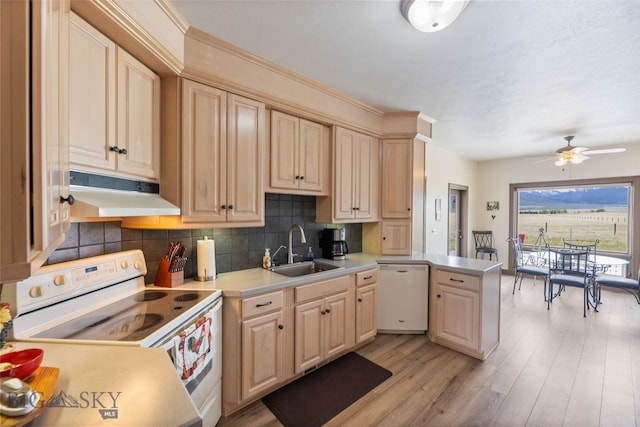 106 Lonesome Dove Rd, Cameron, MT 59720 - kitchen featuring under cabinet range hood, white appliances, a sink, a peninsula, and tasteful backsplash