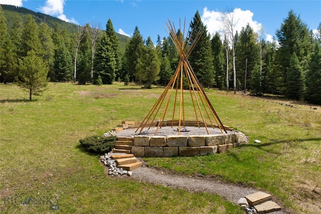 250 Petes Way, Big Sky, MT 59730 - view of green lawn featuring a wooded view