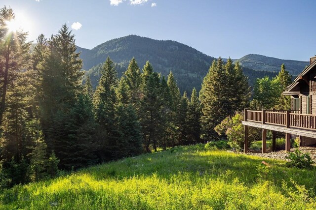 250 Petes Way, Big Sky, MT 59730 - photo 41