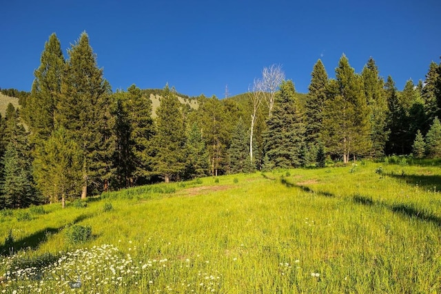 250 Petes Way, Big Sky, MT 59730 - photo 42