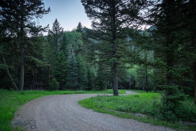 250 Petes Way, Big Sky, MT 59730 - photo 45