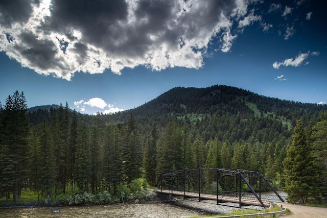 250 Petes Way, Big Sky, MT 59730 - photo 46