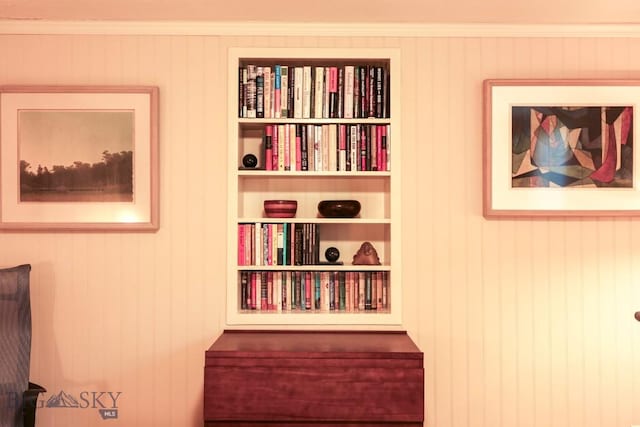923 W Clark St, Livingston, MT 59047 - detailed view of built in features and wooden walls
