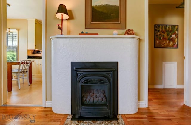 923 W Clark St, Livingston, MT 59047 - detailed view of wood finished floors and a glass covered fireplace