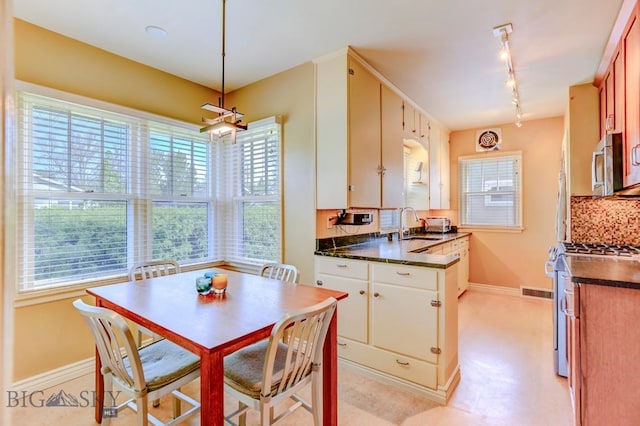 923 W Clark St, Livingston, MT 59047 - kitchen with stainless steel appliances, dark countertops, rail lighting, and healthy amount of natural light