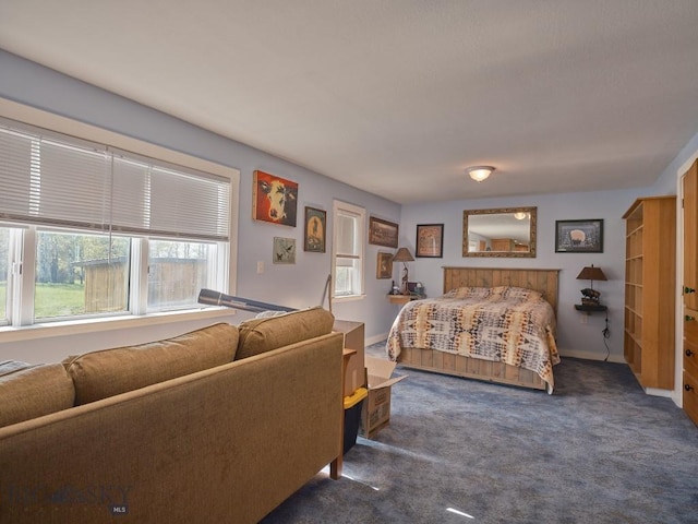 2178 Little Bear Rd, Gallatin Gateway, MT 59730 - bedroom with carpet and baseboards