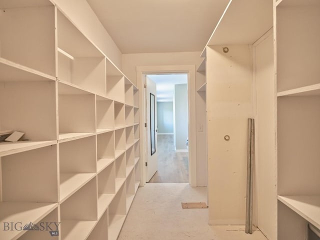 2178 Little Bear Rd, Gallatin Gateway, MT 59730 - view of walk in closet