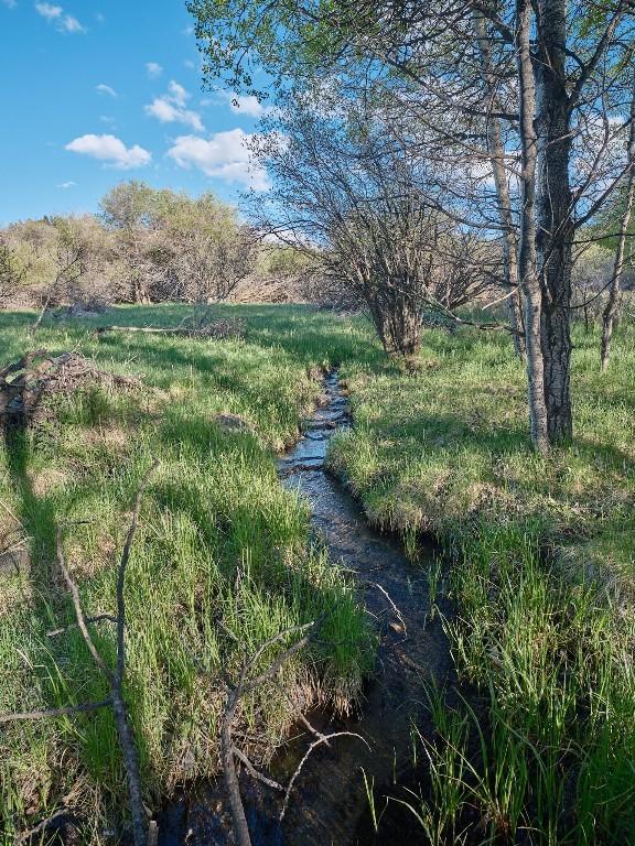 2178 Little Bear Rd, Gallatin Gateway, MT 59730 - view of yard
