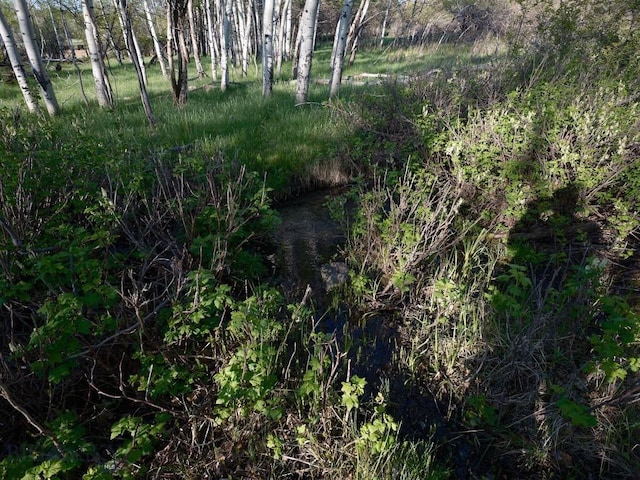 2178 Little Bear Rd, Gallatin Gateway, MT 59730 - view of undeveloped land