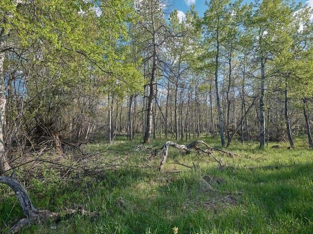 2178 Little Bear Rd, Gallatin Gateway, MT 59730 - view of woods