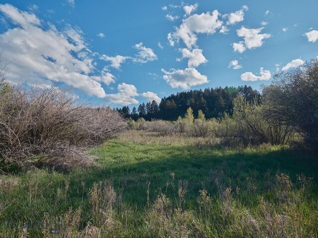 2178 Little Bear Rd, Gallatin Gateway, MT 59730 - view of nature