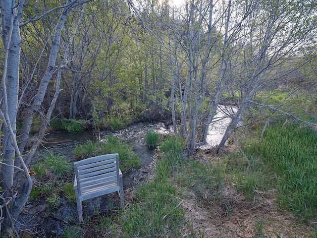 2178 Little Bear Rd, Gallatin Gateway, MT 59730 - view of property's community with a wooded view