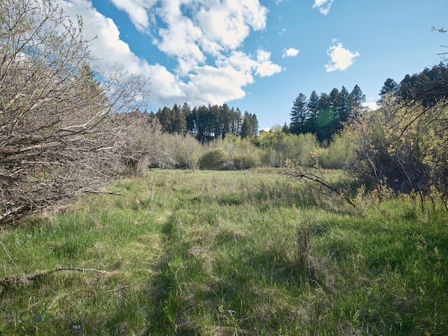 2178 Little Bear Rd, Gallatin Gateway, MT 59730 - view of undeveloped land