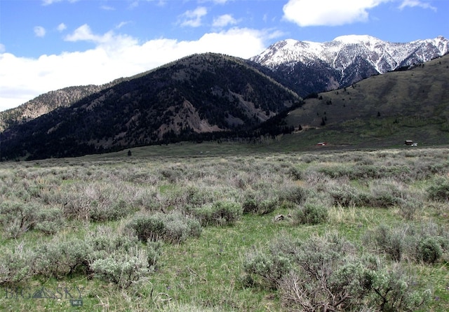 nhn Mile Creek, Cameron, MT 59720