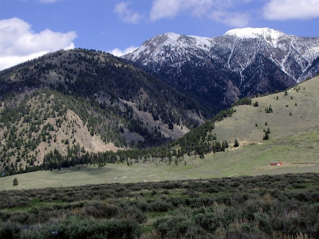 nhn Mile Creek, Cameron, MT 59720