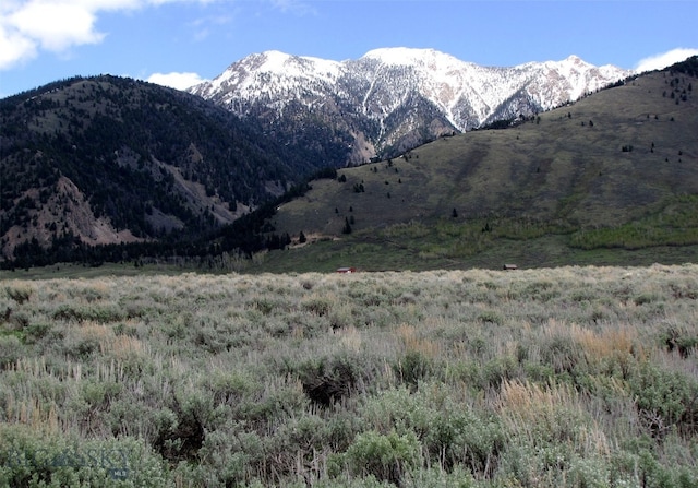 nhn Mile Creek, Cameron, MT 59720