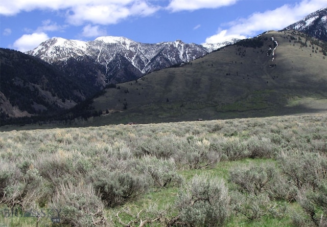 nhn Mile Creek, Cameron, MT 59720