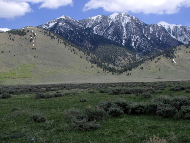 nhn Mile Creek, Cameron, MT 59720