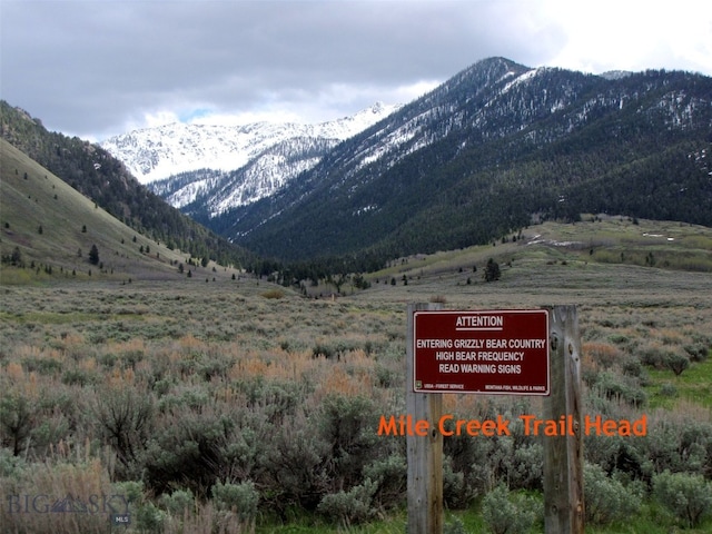nhn Mile Creek, Cameron, MT 59720
