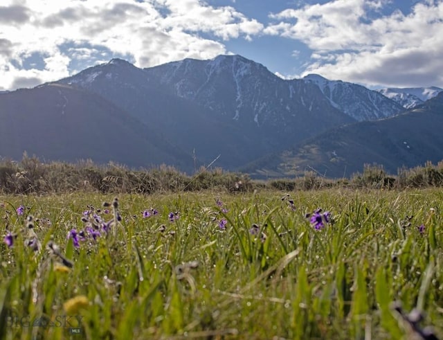 nhn Mile Creek, Cameron, MT 59720
