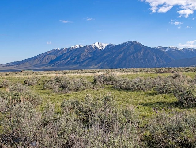 nhn Mile Creek, Cameron, MT 59720