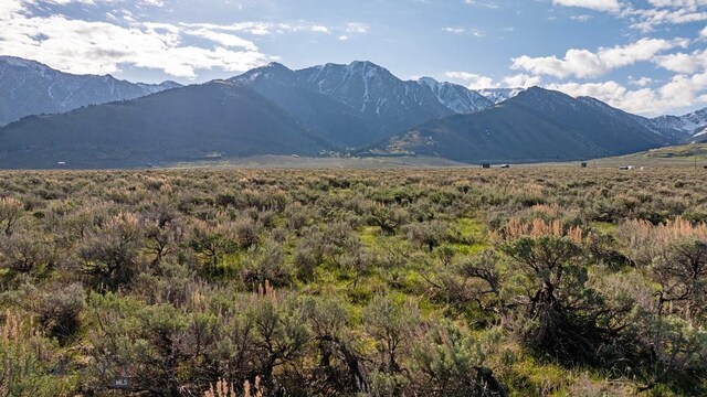 nhn Mile Creek, Cameron, MT 59720