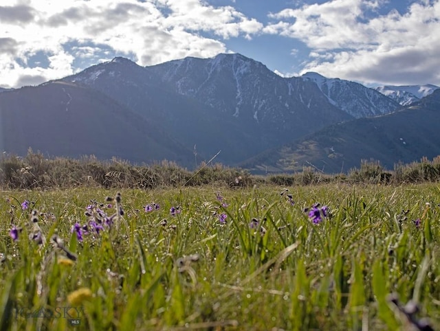 nhn Mile Creek, Cameron, MT 59720