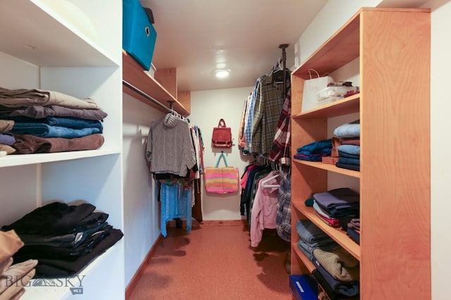 425 N 7th St, Livingston, MT 59047 - spacious closet featuring carpet floors