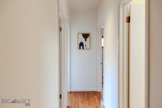 425 N 7th St, Livingston, MT 59047 - hall featuring light wood-style floors and baseboards