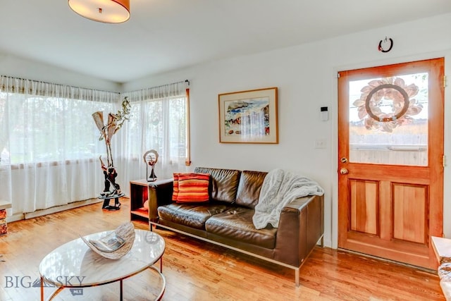 425 N 7th St, Livingston, MT 59047 - living room with wood finished floors