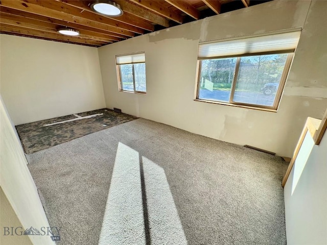 15 S Colorado St, Dillon, MT 59725 - basement with carpet