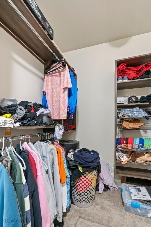 1711 Shelby Ave, Belgrade, MT 59714 - walk in closet featuring carpet flooring