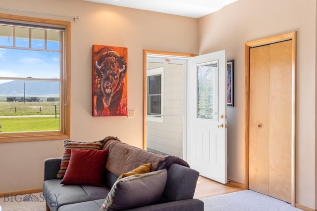 41 Madison, Ennis, MT 59729 - foyer entrance featuring healthy amount of natural light