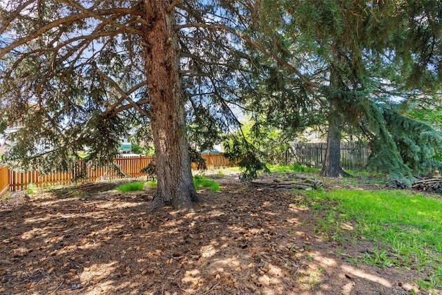 707 Montana St, Belgrade, MT 59714 - view of fenced backyard