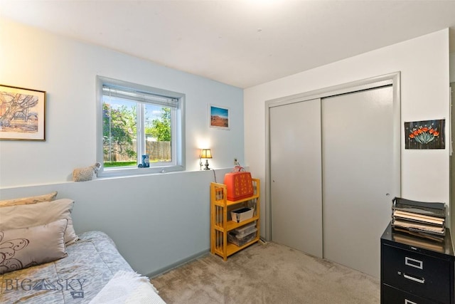 707 Montana St, Belgrade, MT 59714 - bedroom with light colored carpet and a closet
