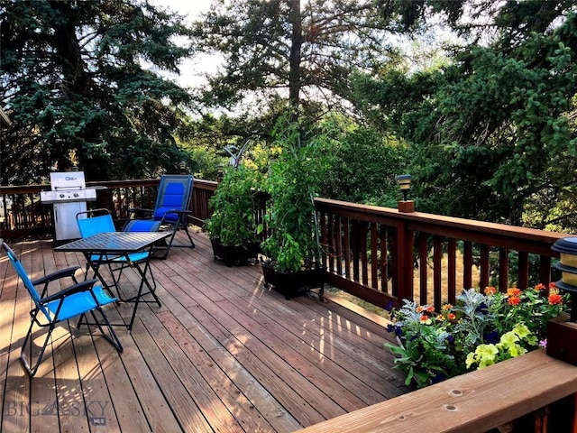 707 Montana St, Belgrade, MT 59714 - wooden terrace featuring area for grilling