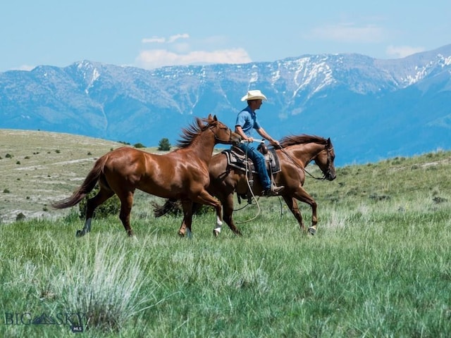 1069 Yucca Pass Rd, Manhattan, MT 59714