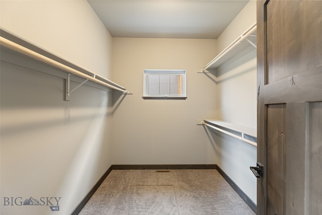 1215 Sweetgrass Ln, Livingston, MT 59047 - spacious closet with carpet flooring