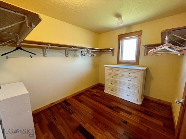 30 Harris Hawk Ct, Dillon, MT 59725 - spacious closet featuring dark wood finished floors