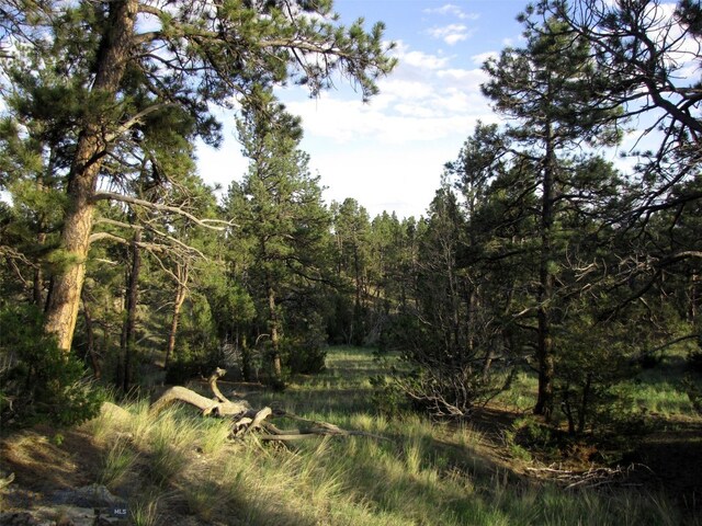 TBD Echo Ave E Unit E Lot-23A, Roundup, MT 59072 - photo 3