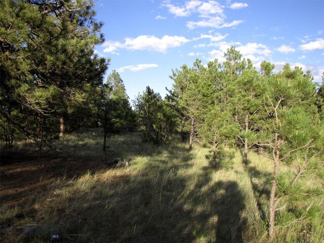 TBD Echo Ave E Unit E Lot-23A, Roundup, MT 59072 - photo 5