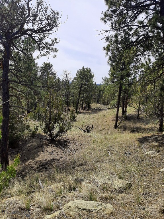 TBD Echo Ave E Unit E Lot-23A, Roundup, MT 59072 - photo 14