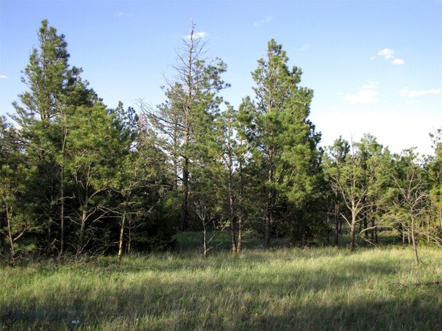 TBD Echo Ave E Unit E Lot-23A, Roundup, MT 59072 - photo 16